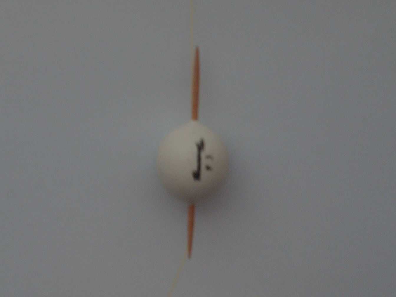 Pallina bianca, pesca, foto.