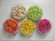 Camole mummificate, esca, pesca, foto