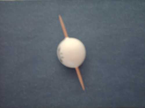 Pallina bianca, pesca, foto.