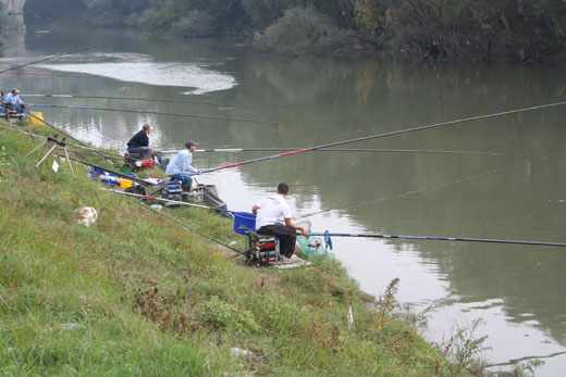 Pescatori gettano l’amo a Capua, sulle rive del Volturno.