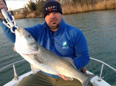 Spigola pescata sulla foce del fiume Timavo