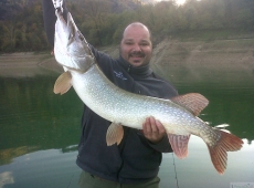 Luccio pescato in Veneto nel lago di Arsie' provincia di Belluno