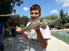 storione