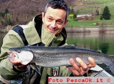 Trota lacustre levico