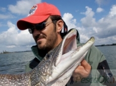 Luccio di Matteo de Falco