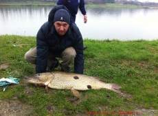 foto luccio 15kg 1,10mt