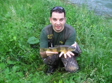 Marmorata Brenta