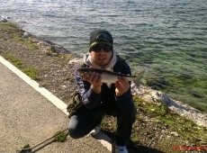 Lacustre garda