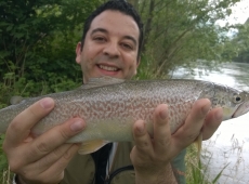 Una stupenda marmorata dell'Adige trentino