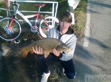 Carpa 7,5 kg Treviso