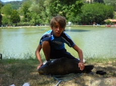 Carpa reina da 11 kg (PO)