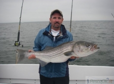striped bass 11 kg neal