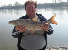 Barbo nel fiume Po