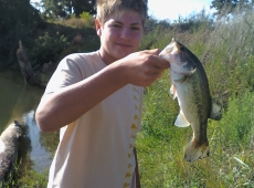 black bass savignano sul rubicone