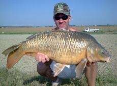 Carpa Po di volano (FE)