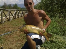 carpa regina Ceprano (fr)