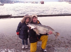 lucioperca lago Maggiore Jfish