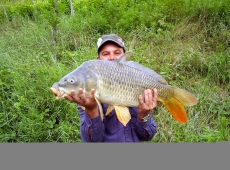 Carpa regina 13,2kg