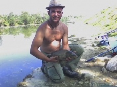 Carpa laterina (AR)