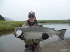 Salmone argentato, Kodiak Island, Alaska
