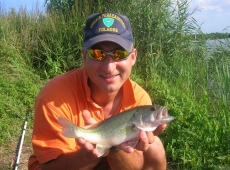 Black bass con vermone