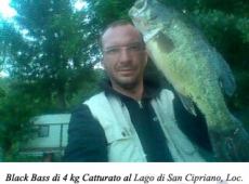 Black bass, 4 kg