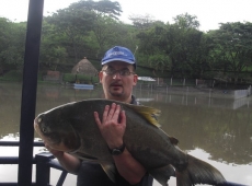 Cachame pescato nel lago Danubio, Cartago, Colombia