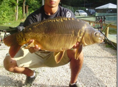 Carpa specchi