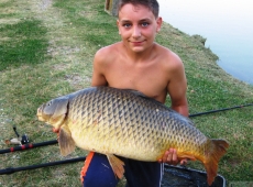 Carpa gigantesca da 18 kg