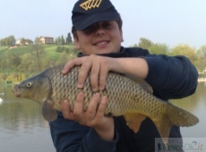 Carpa pescata a Cà dì Sola, Modena