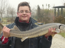 Storione pescato a Cà di Sola, Modena