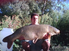 Carpa 16kg
