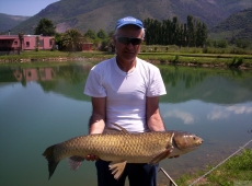 Amur 15kg