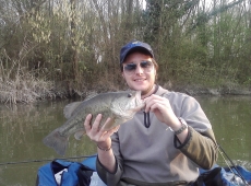 Black bass