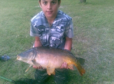 Carpa lago di montagna