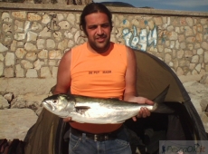 Pesce Serra Porto Terracina (LT)