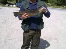 Trota Fario 2 kg Val Ferret Courmayeur