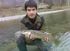 Trota Marmorata Dora Riparia, Val di Susa (TO)