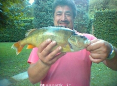Persico Reale Eugenio