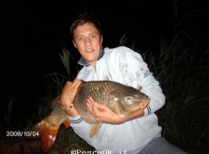 11 KG DI CARPA FERRARESE