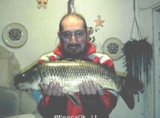 Carpa da 2,5 Kg Napoli