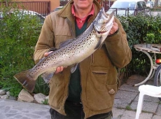 Trota fario di 3kg pescata nel Tevere