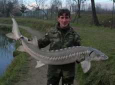 Storione di PiÃ¹ di 30 kg Daniele Torino