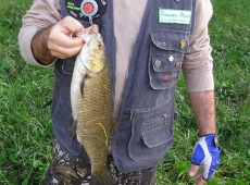 Cavedano da 1,4 kg a spinning Mincio