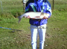 Temolo Russo pescato da Franceso