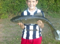 Amur pescato da Elias