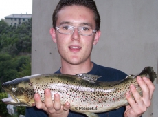 Trota fario di 1,7kg pescata nel fiume Trebbia