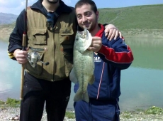Black Bass