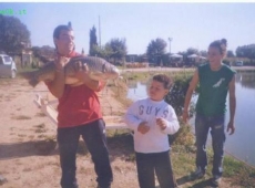 carpa da 11 kg