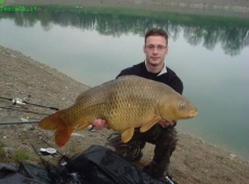 Carpa cave fiume Po